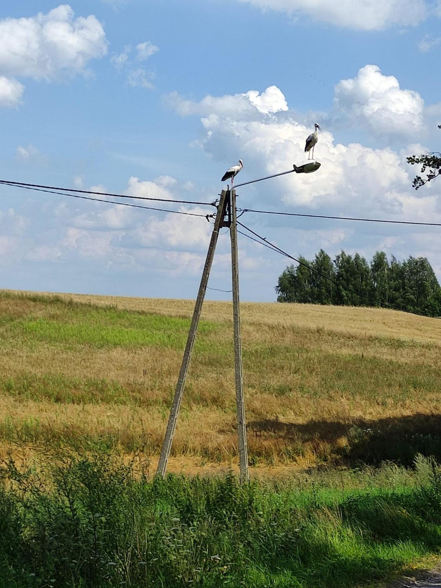 Domek JEZIORACZEK Urowo Zewnętrze zdjęcie